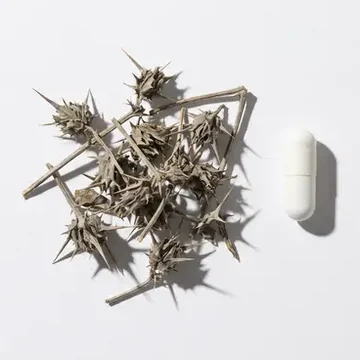Fruto seco de tribulus terrestris ao lado de cápsulas